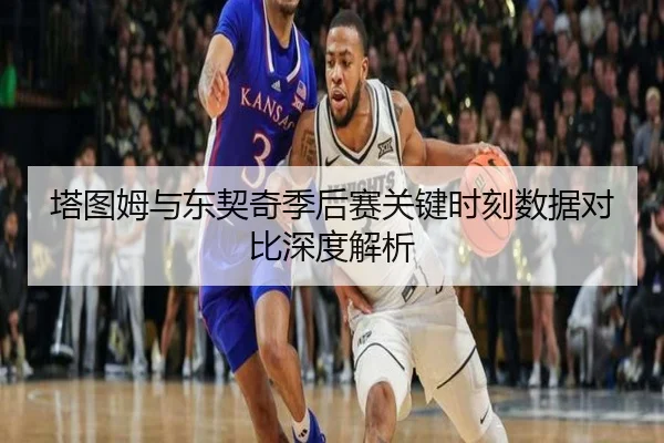 塔图姆与东契奇季后赛关键时刻数据对比深度解析