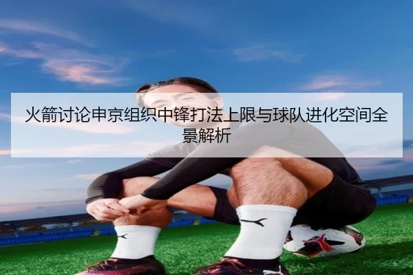火箭讨论申京组织中锋打法上限与球队进化空间全景解析